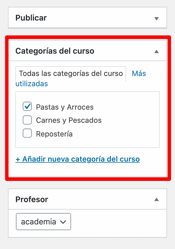 Añadir nueva Categoría a un Curso