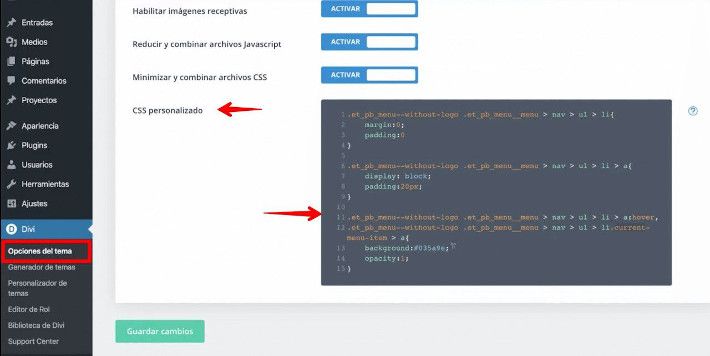 Curso-Divi-Avanzado-Agregar-codigo-CSS-personalizado